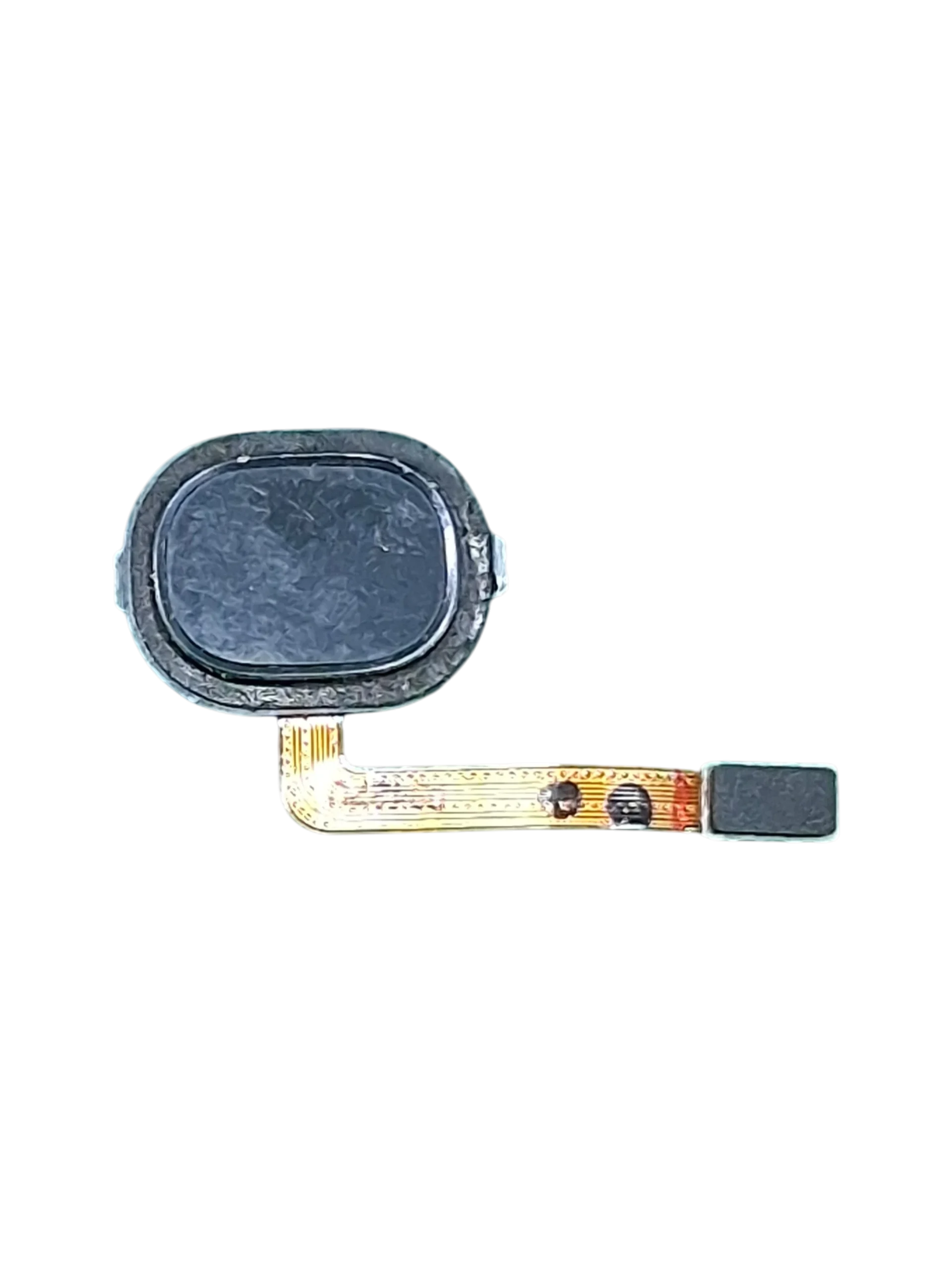 SENSOR BIOMETRIA A30