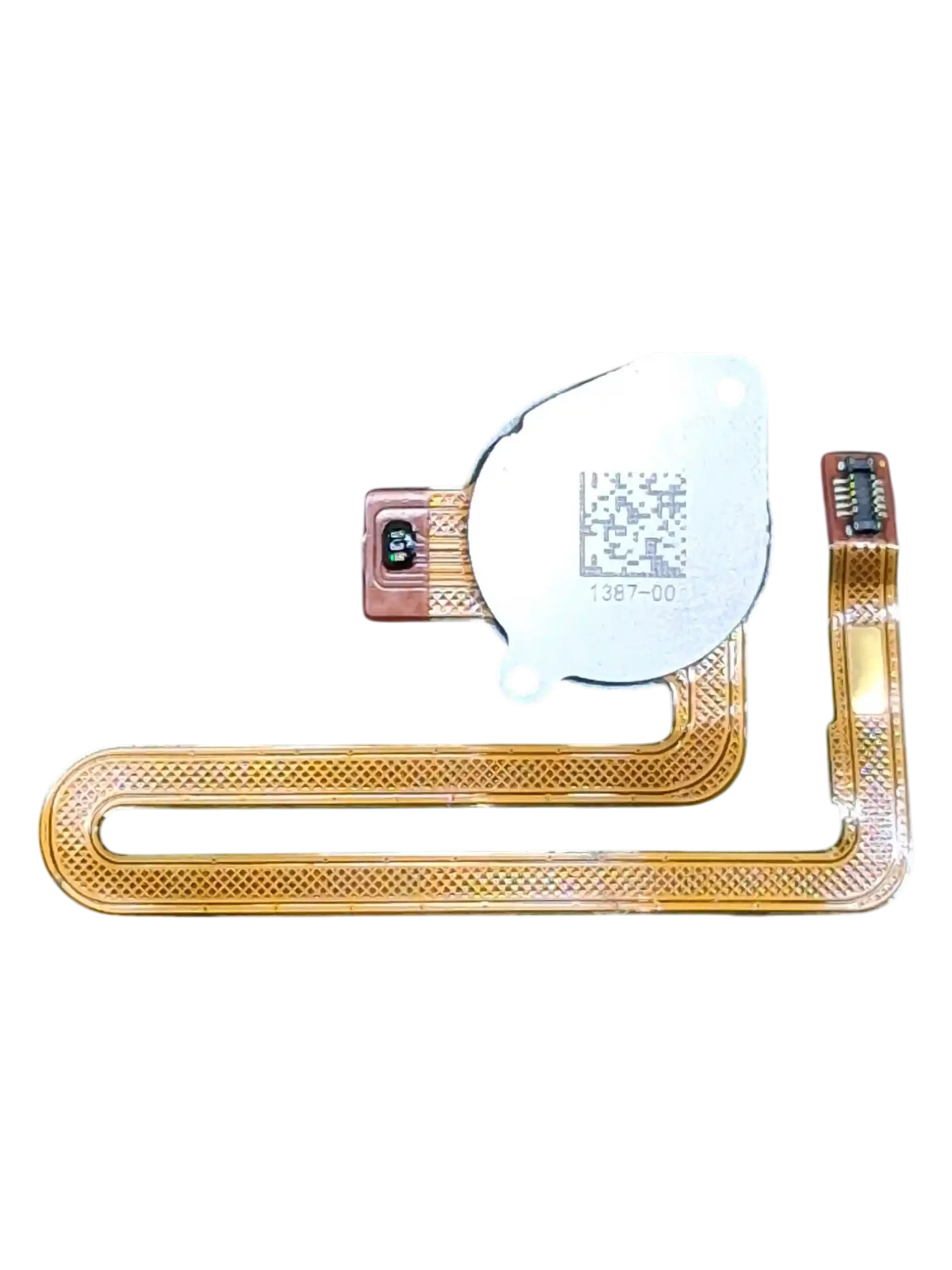 SENSOR BIOMETRIA E6 PLUS